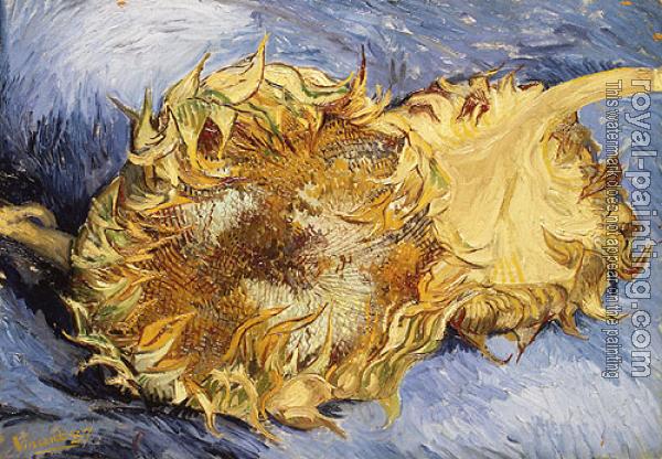 Vincent Van Gogh : Sunflowers II Vincent Van Gogh : Sunflowers II